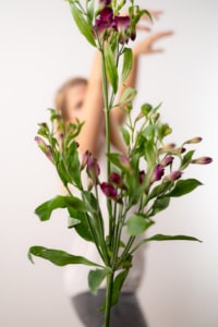 Blumenstrauß im Fokus vor Person im Hintergrund - photoart hübner business Blumenstrauß mit pinken und grünen Blüten im Vordergrund, Person im Hintergrund unscharf.